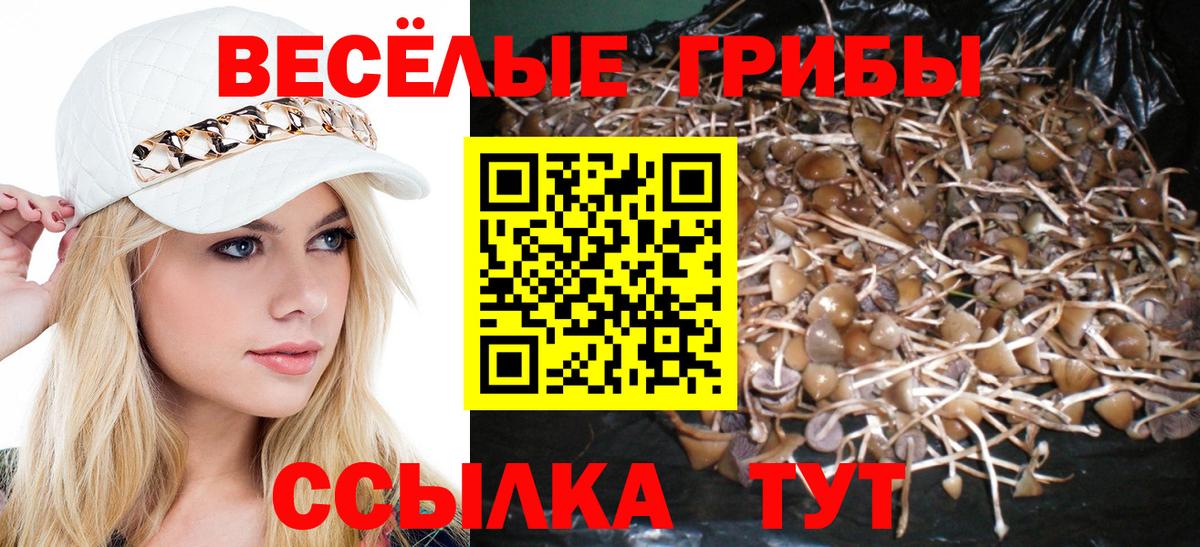 Галлюциногенные грибы Cubensis Шатура